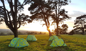 Emoji Gorilla Festival Tents in a field